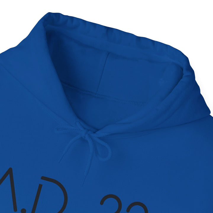 AD 33 Hoodie Hoodie   