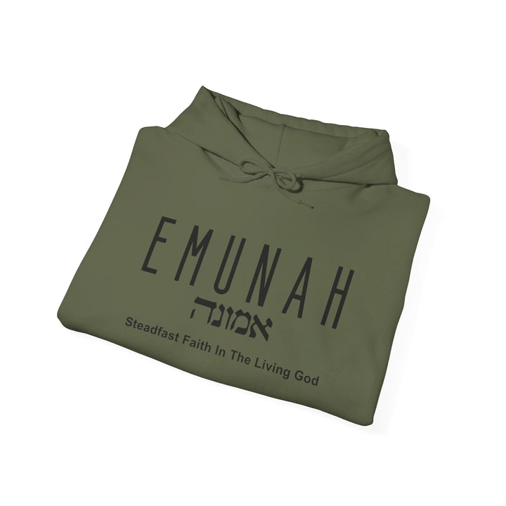 Emunah Steadfast Faith Hoodie Hoodie   
