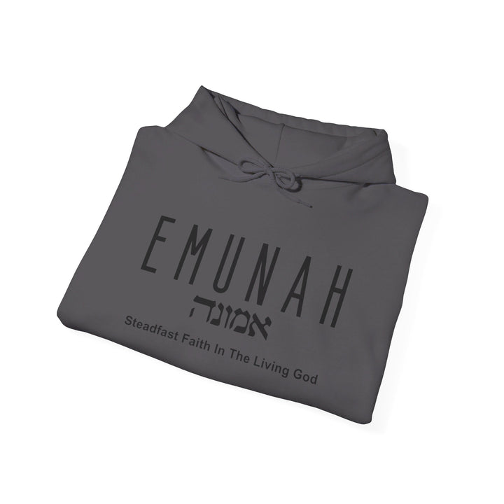 Emunah Steadfast Faith Hoodie Hoodie   