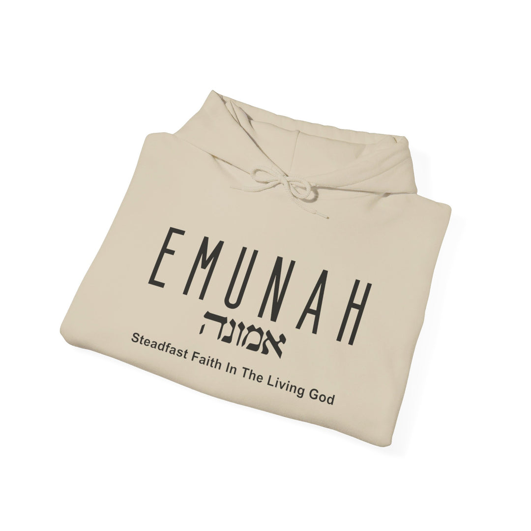 Emunah Steadfast Faith Hoodie Hoodie   