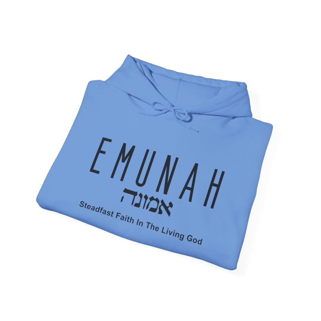 Emunah Steadfast Faith Hoodie Hoodie   