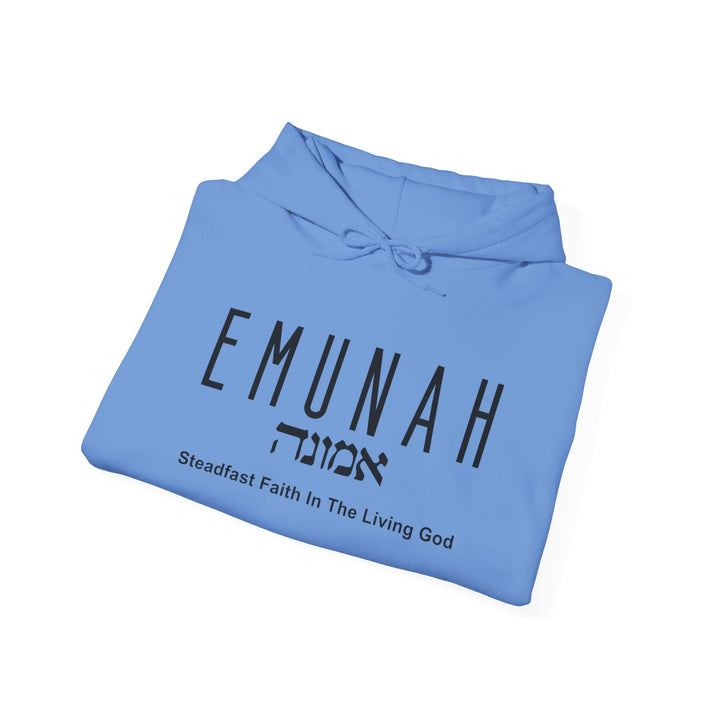 Emunah Steadfast Faith Hoodie Hoodie   