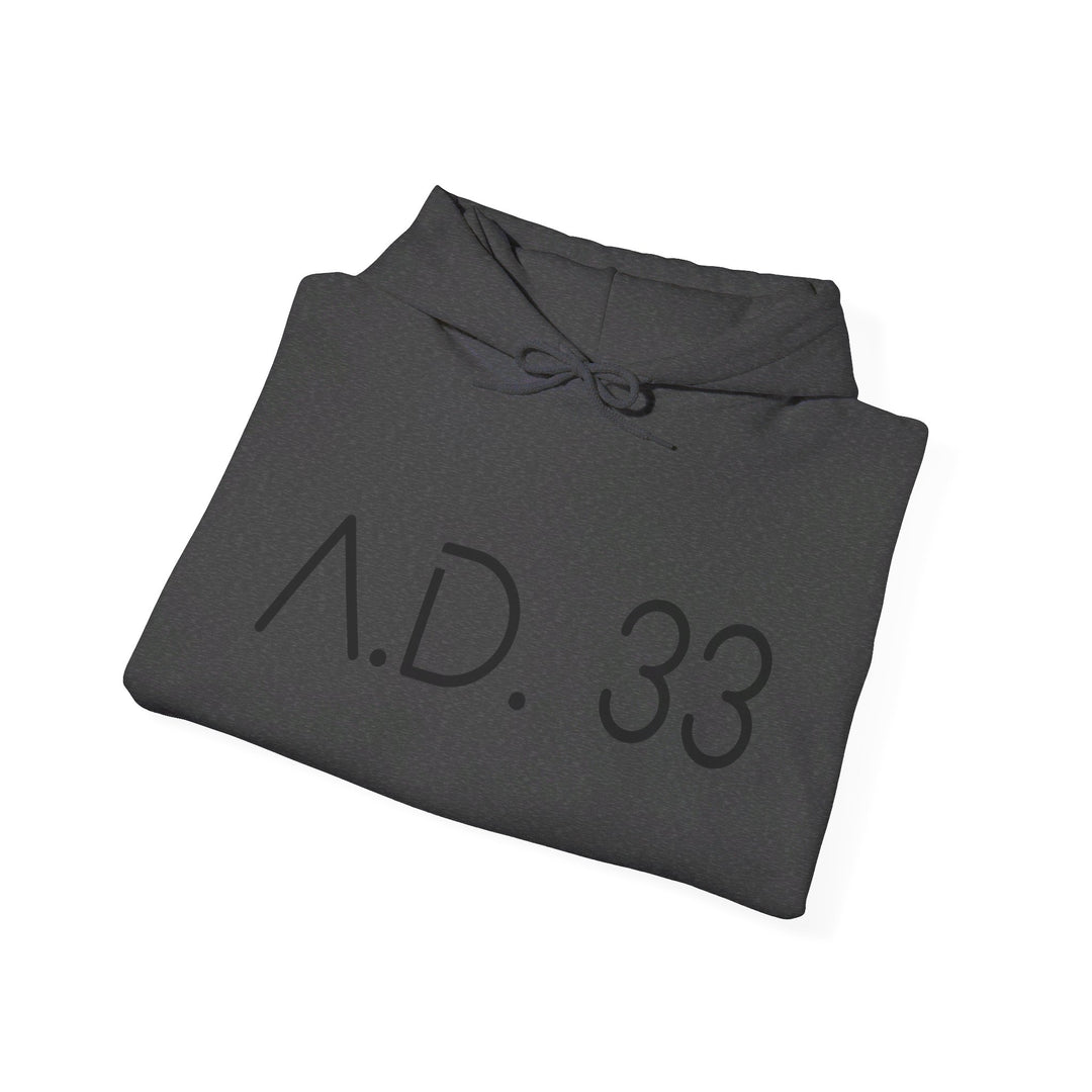 AD 33 Hoodie Hoodie   