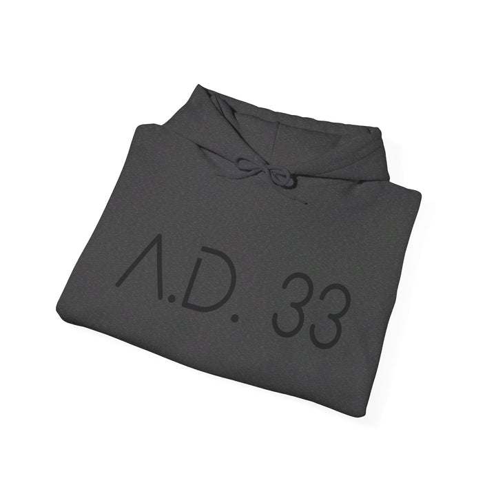 AD 33 Hoodie Hoodie   