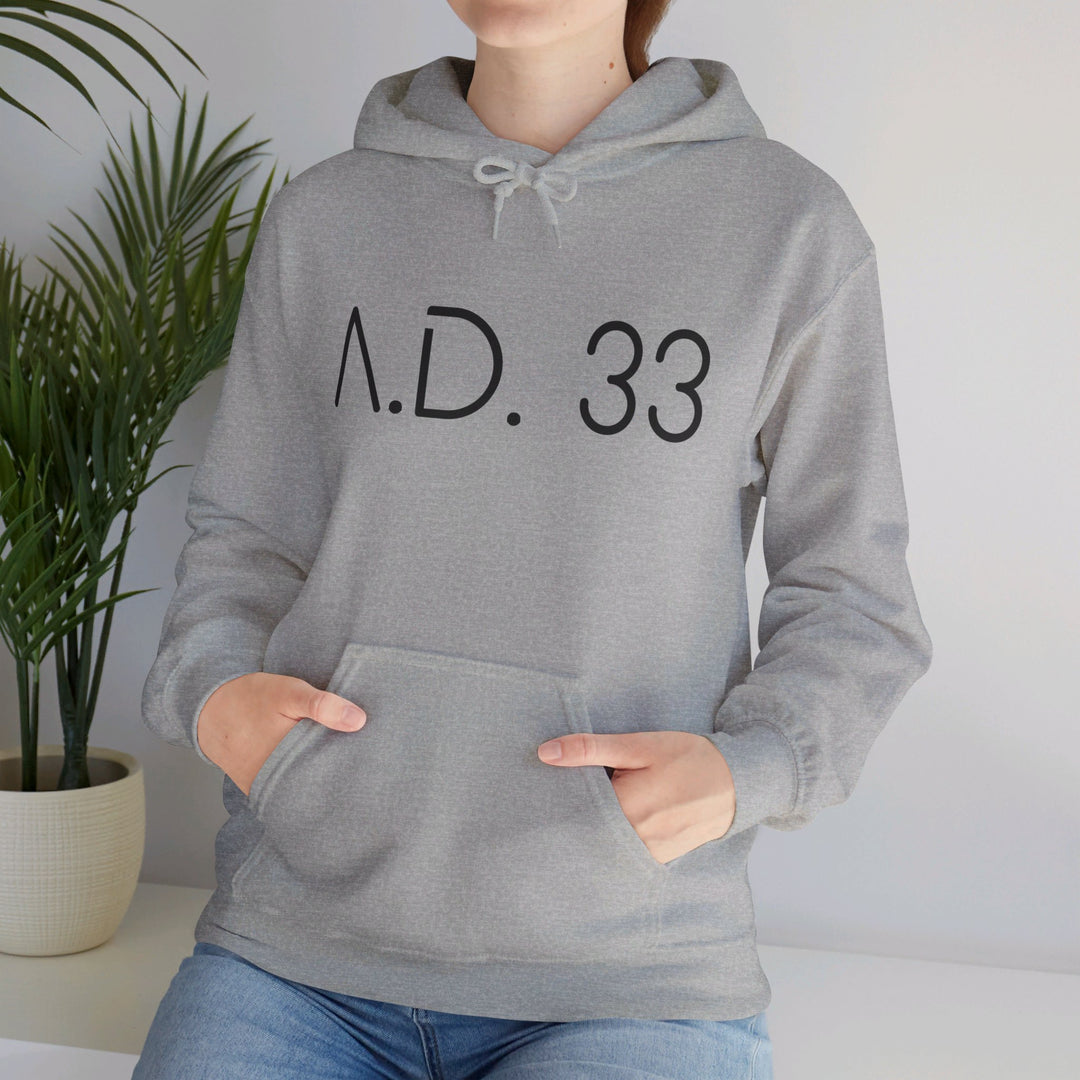 AD 33 Hoodie Hoodie   
