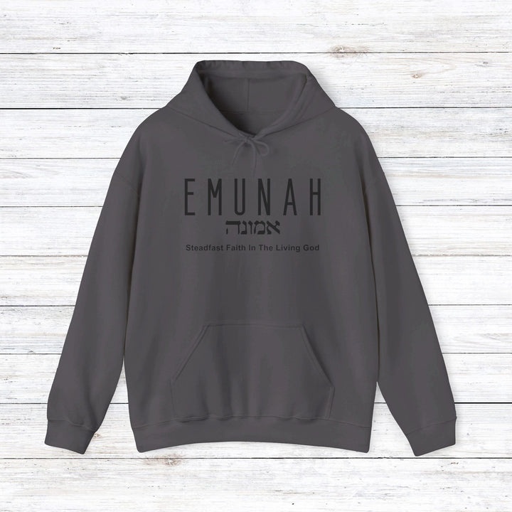 Emunah Steadfast Faith Hoodie Hoodie Charcoal S 