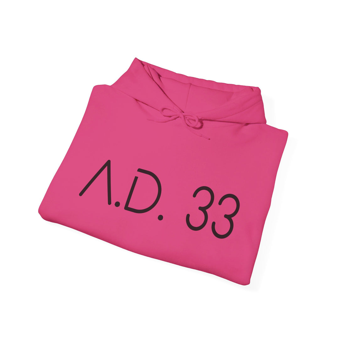 AD 33 Hoodie Hoodie   