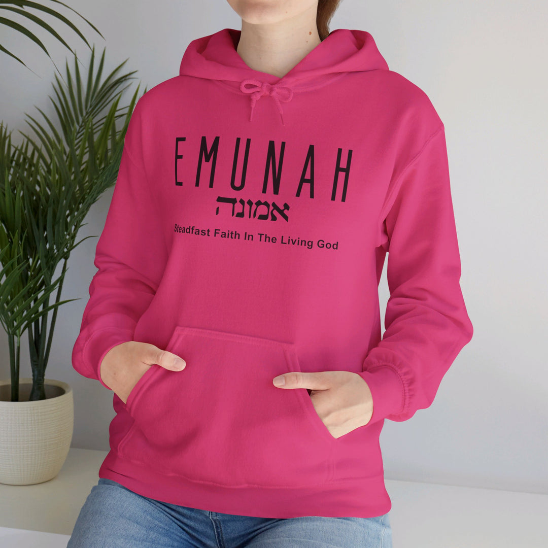 Emunah Steadfast Faith Hoodie Hoodie   