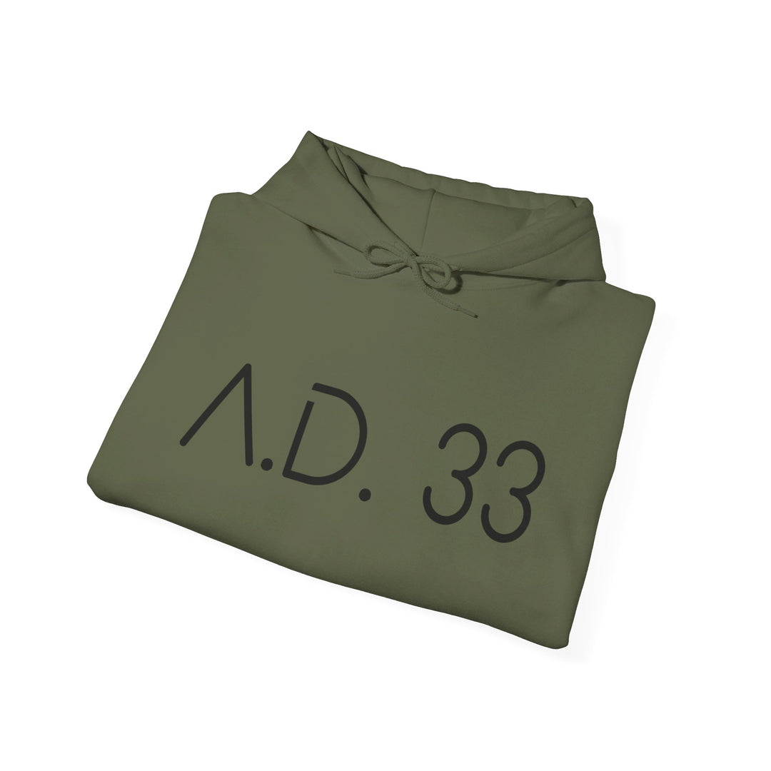 AD 33 Hoodie Hoodie   