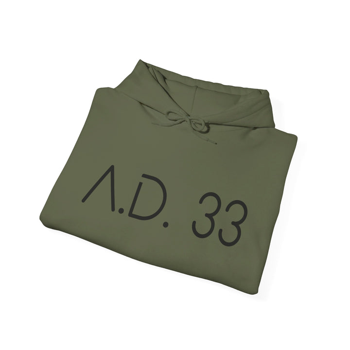 AD 33 Hoodie Hoodie   