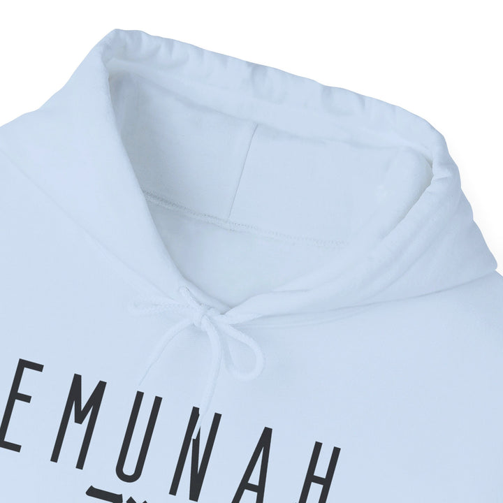 Emunah Steadfast Faith Hoodie Hoodie   