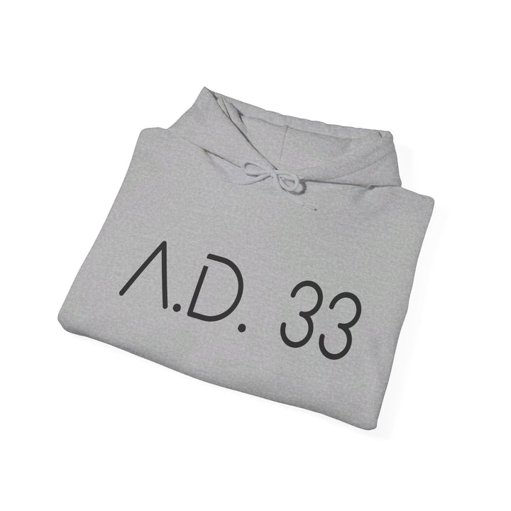 AD 33 Hoodie Hoodie   