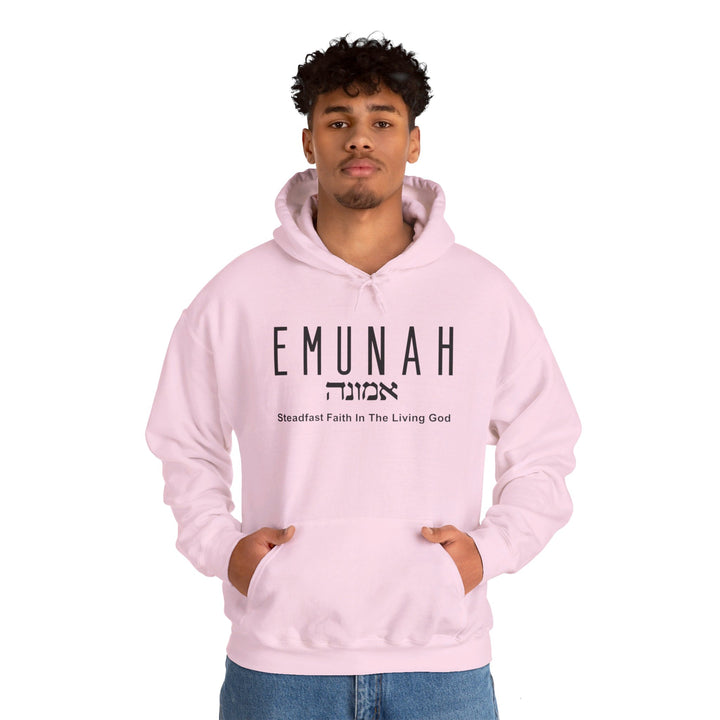 Emunah Steadfast Faith Hoodie Hoodie   