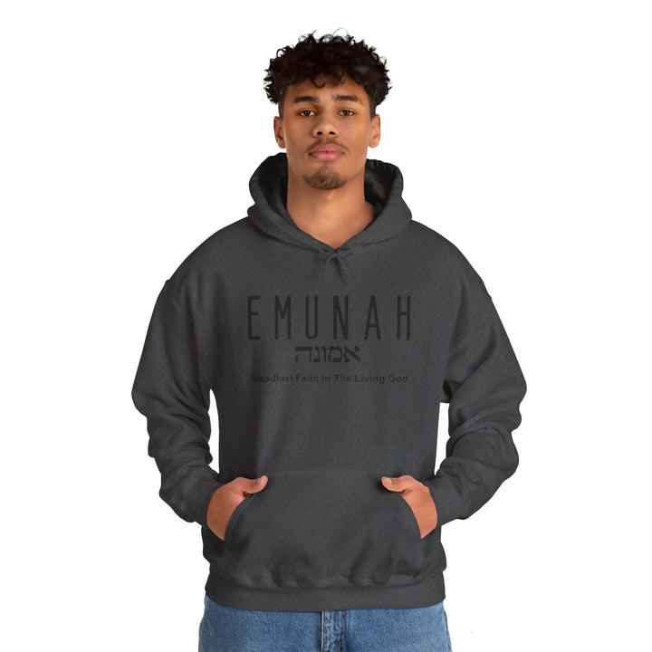 Emunah Steadfast Faith Hoodie Hoodie   