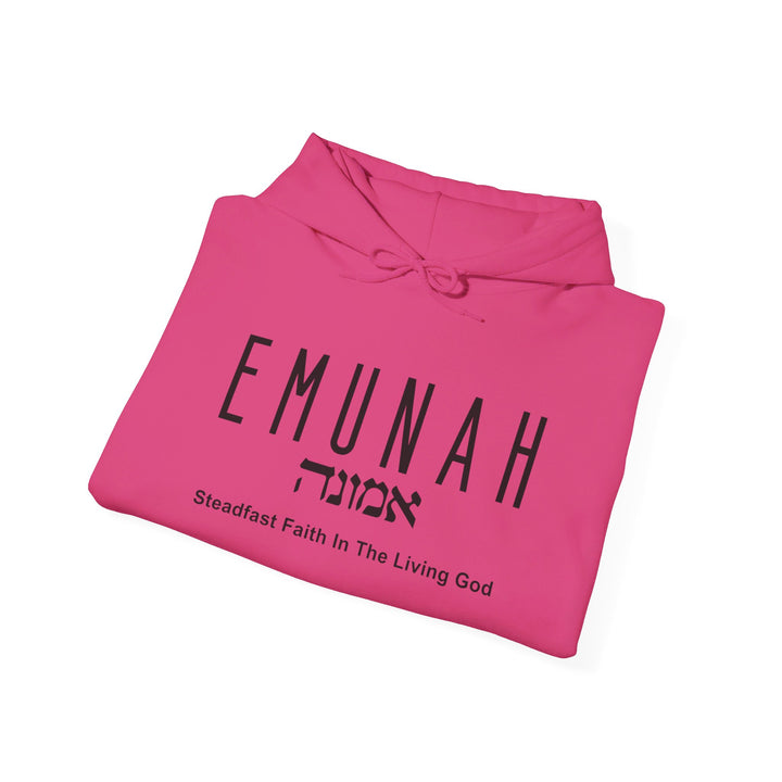 Emunah Steadfast Faith Hoodie Hoodie   