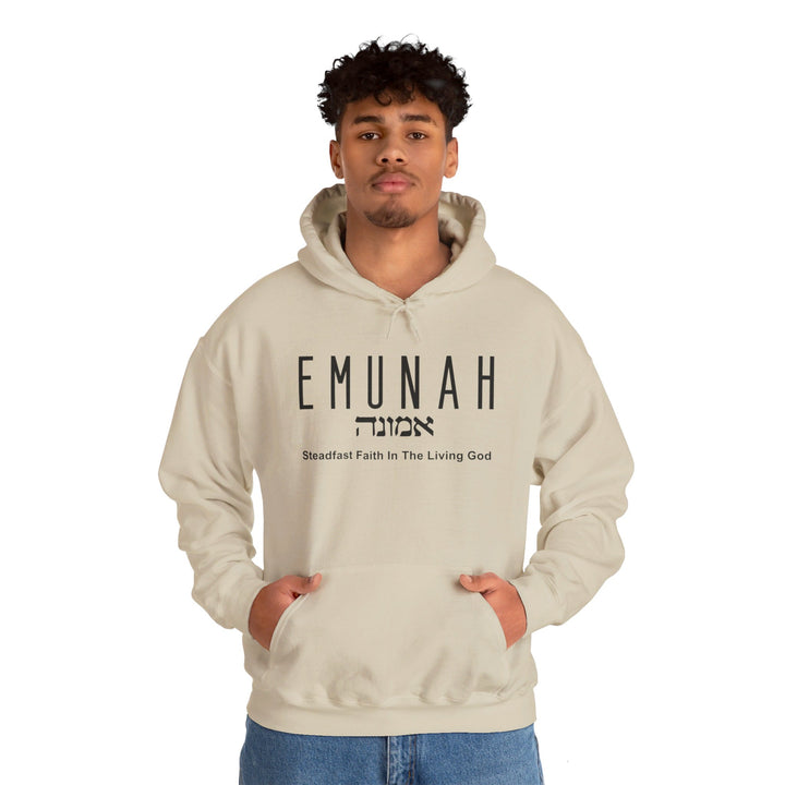 Emunah Steadfast Faith Hoodie Hoodie   