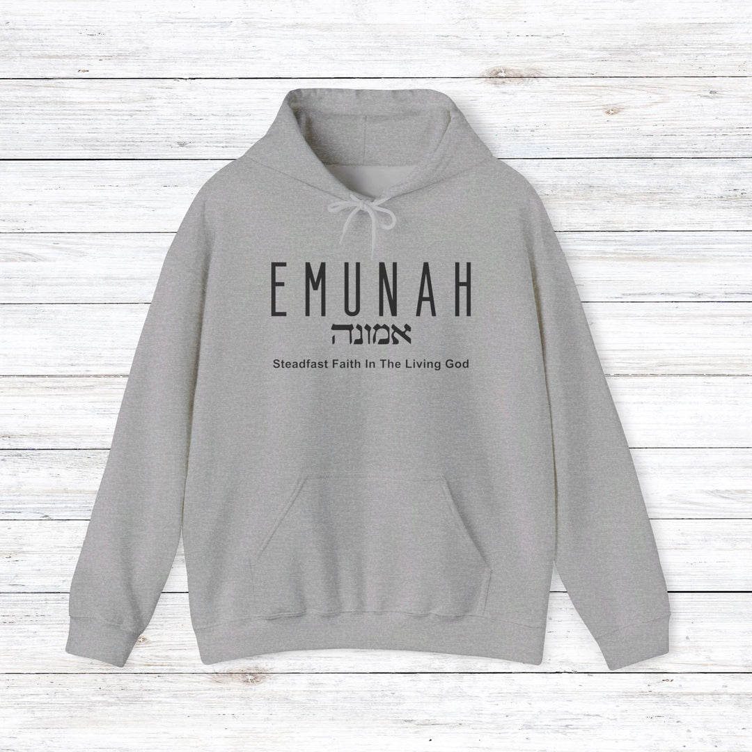 Emunah Steadfast Faith Hoodie Hoodie Sport Grey S 