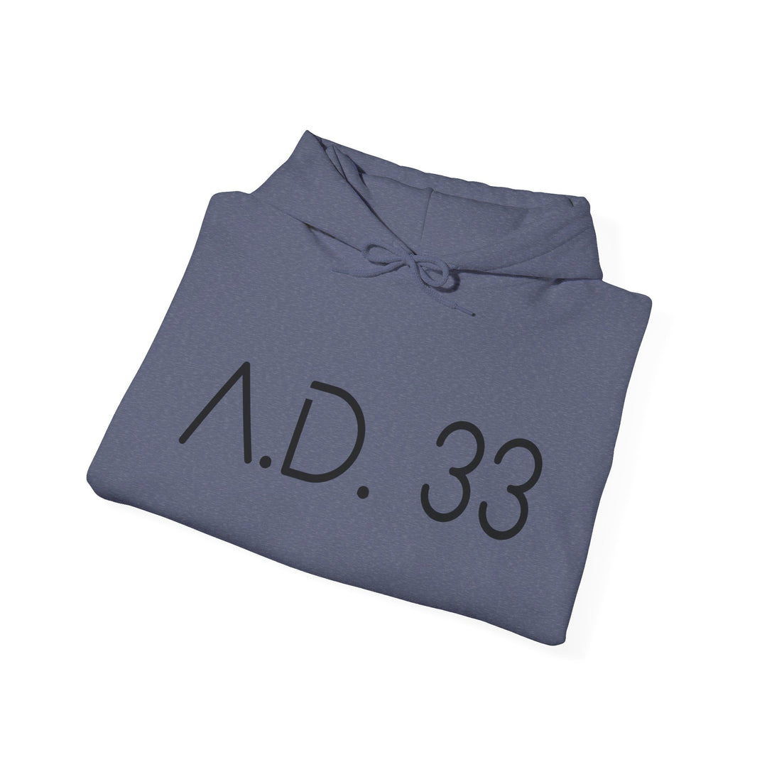 AD 33 Hoodie Hoodie   