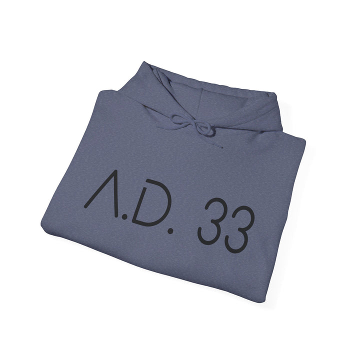 AD 33 Hoodie Hoodie   