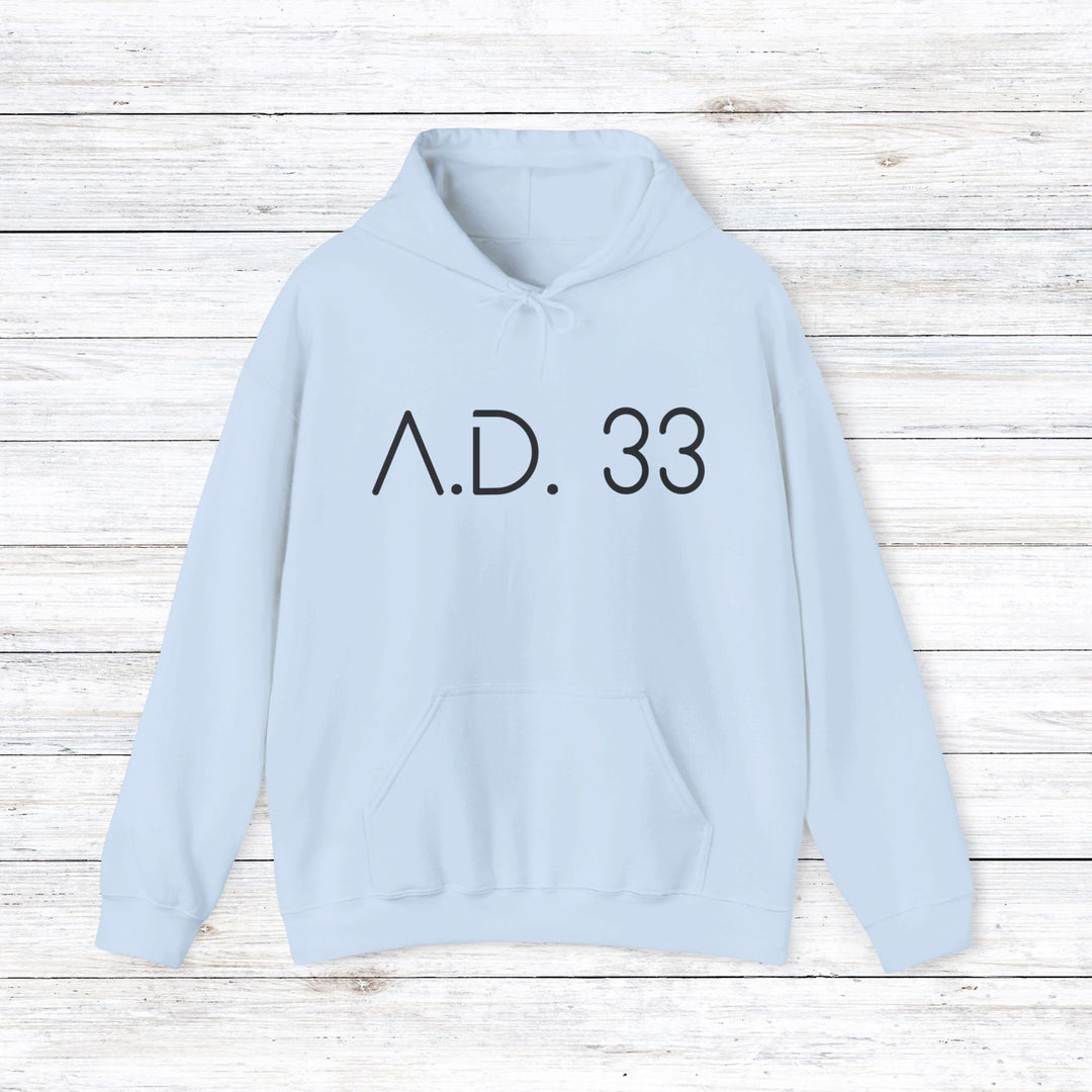 AD 33 Hoodie Hoodie Light Blue S 