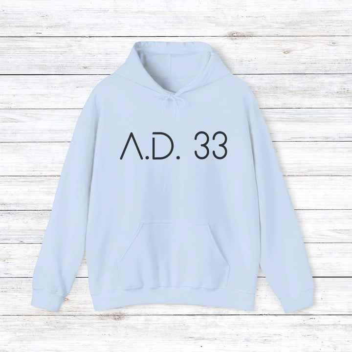AD 33 Hoodie Hoodie Light Blue S 