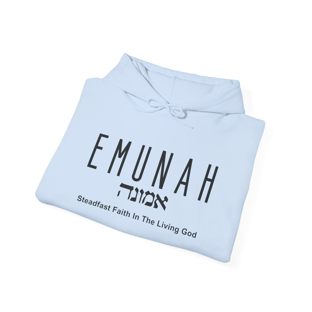 Emunah Steadfast Faith Hoodie Hoodie   