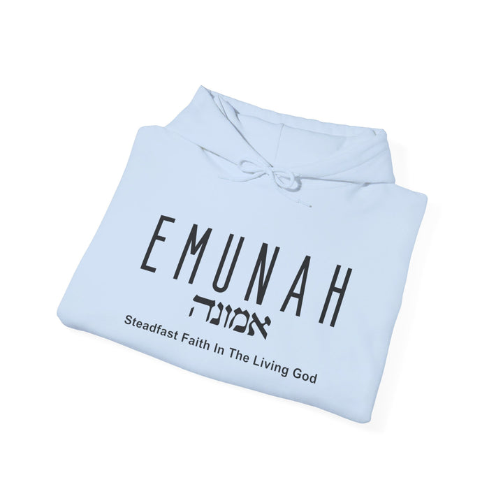 Emunah Steadfast Faith Hoodie Hoodie   