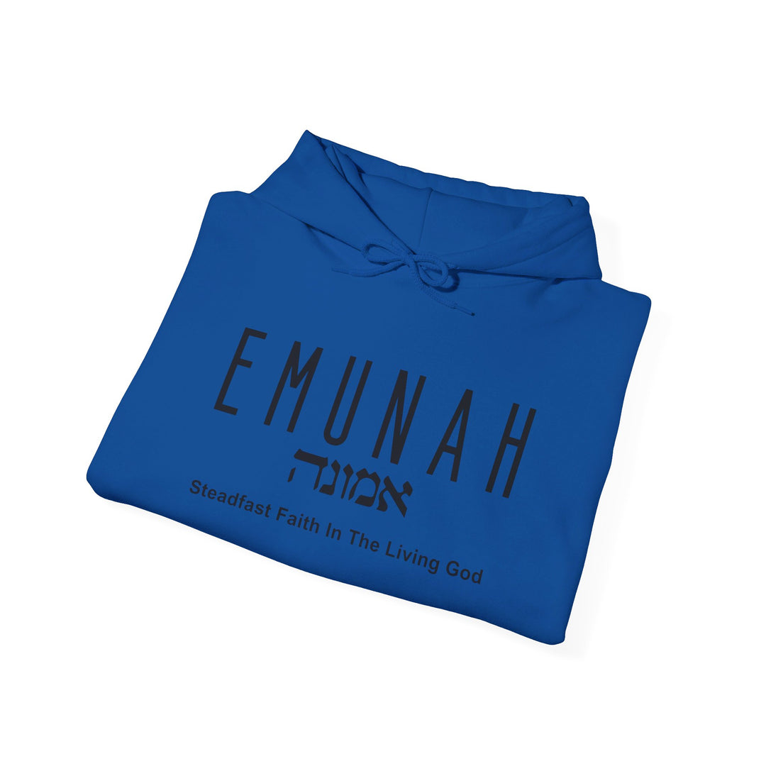 Emunah Steadfast Faith Hoodie Hoodie   