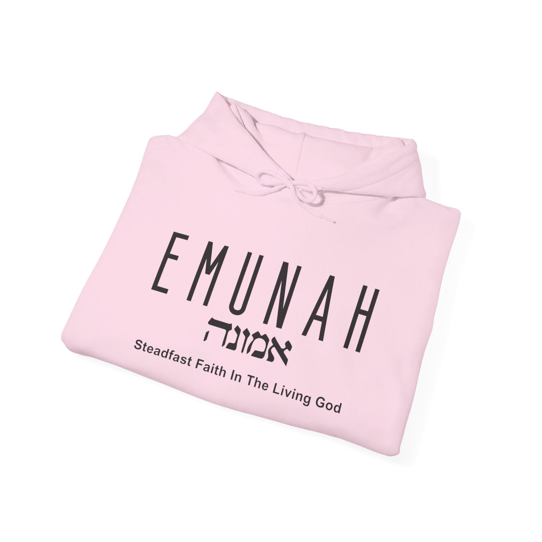 Emunah Steadfast Faith Hoodie Hoodie   