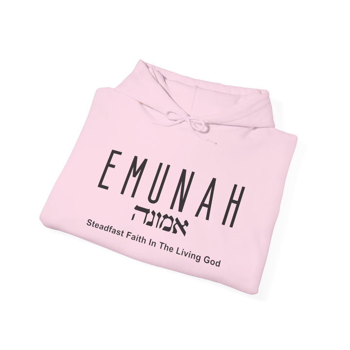 Emunah Steadfast Faith Hoodie Hoodie   
