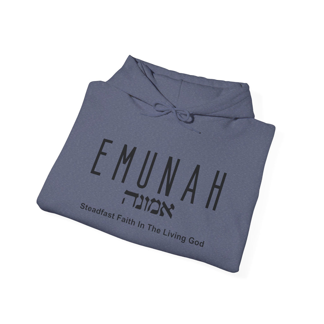 Emunah Steadfast Faith Hoodie Hoodie   