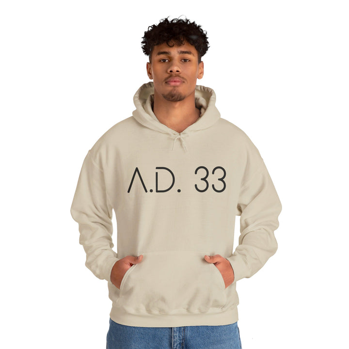AD 33 Hoodie Hoodie   