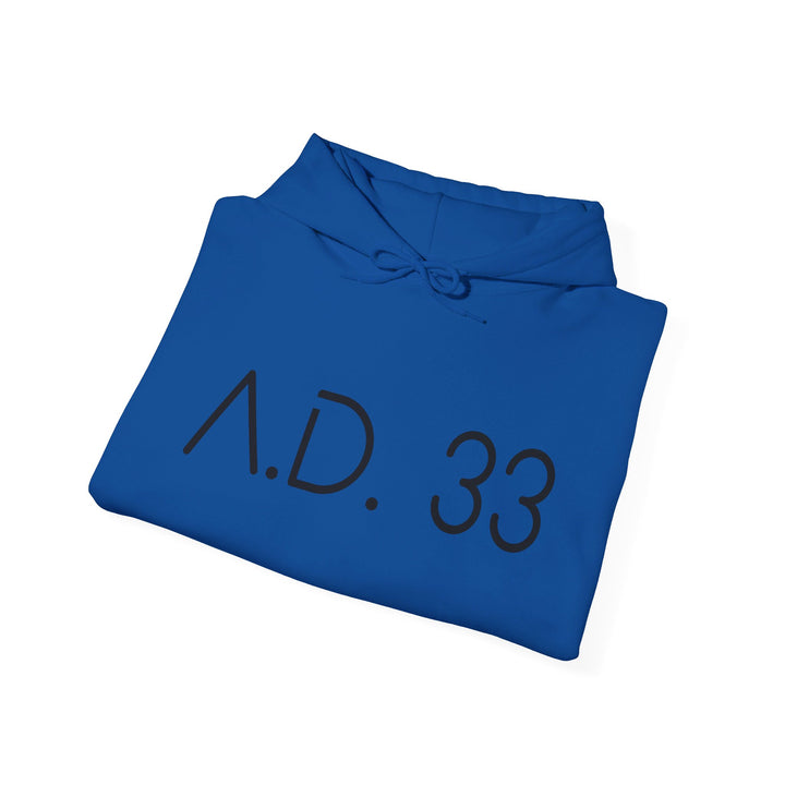 AD 33 Hoodie Hoodie   