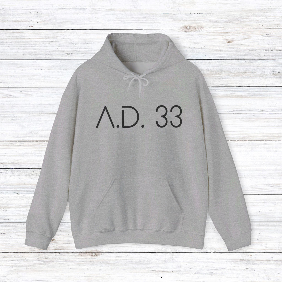 AD 33 Hoodie Hoodie Sport Grey S 