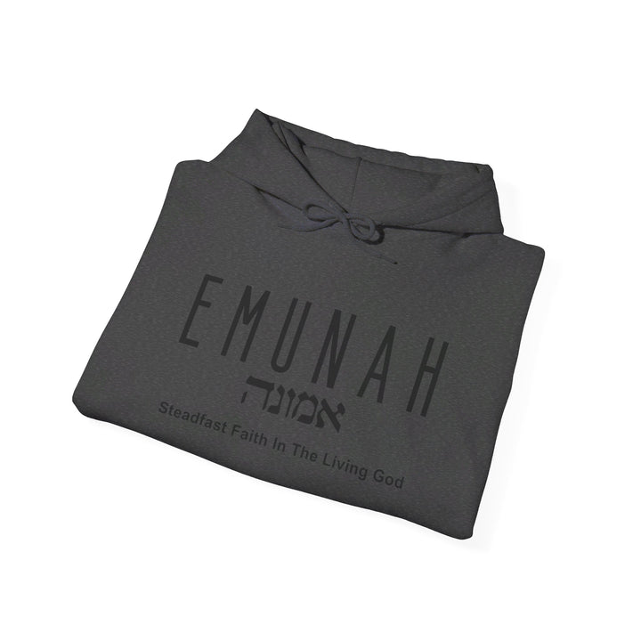 Emunah Steadfast Faith Hoodie Hoodie   