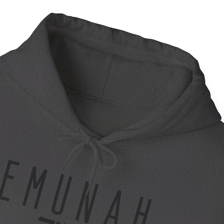 Emunah Steadfast Faith Hoodie Hoodie   