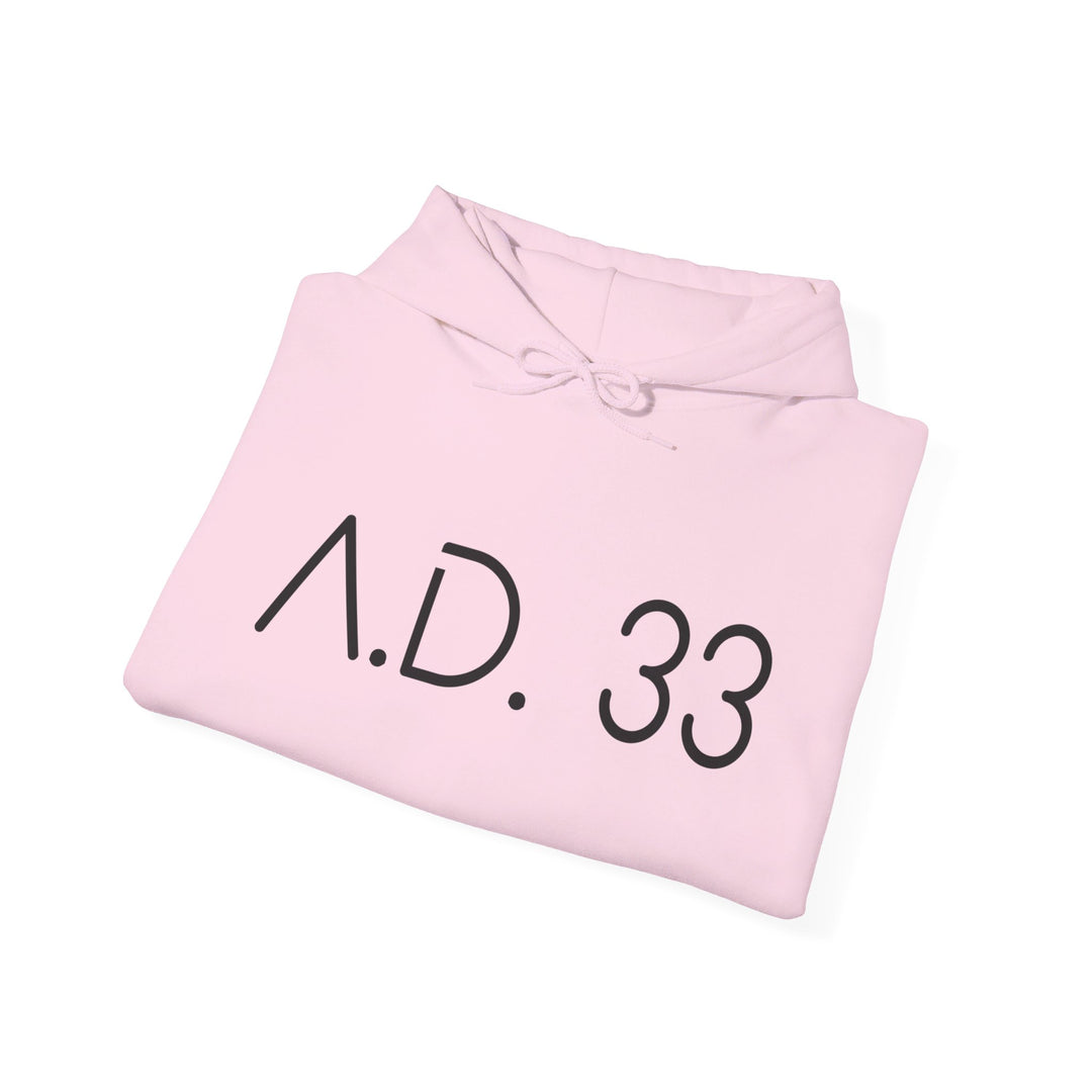 AD 33 Hoodie Hoodie   
