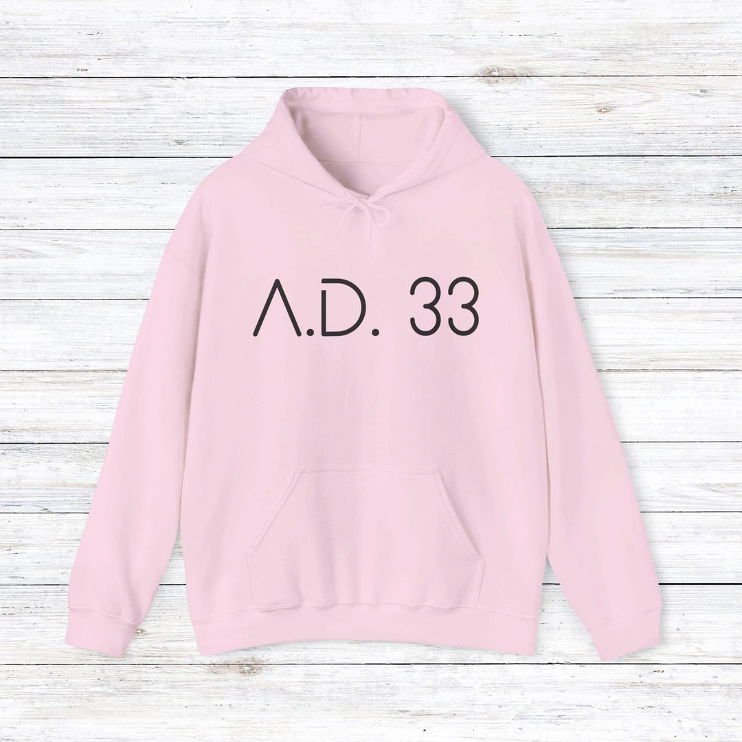 AD 33 Hoodie Hoodie Light Pink S 