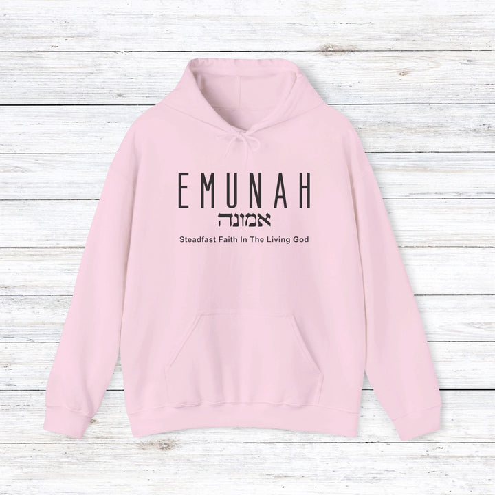 Emunah Steadfast Faith Hoodie Hoodie Light Pink S 