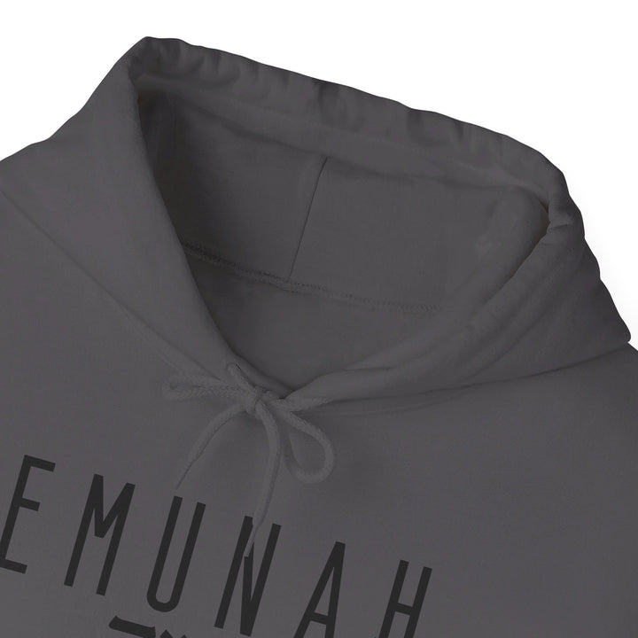 Emunah Steadfast Faith Hoodie Hoodie   