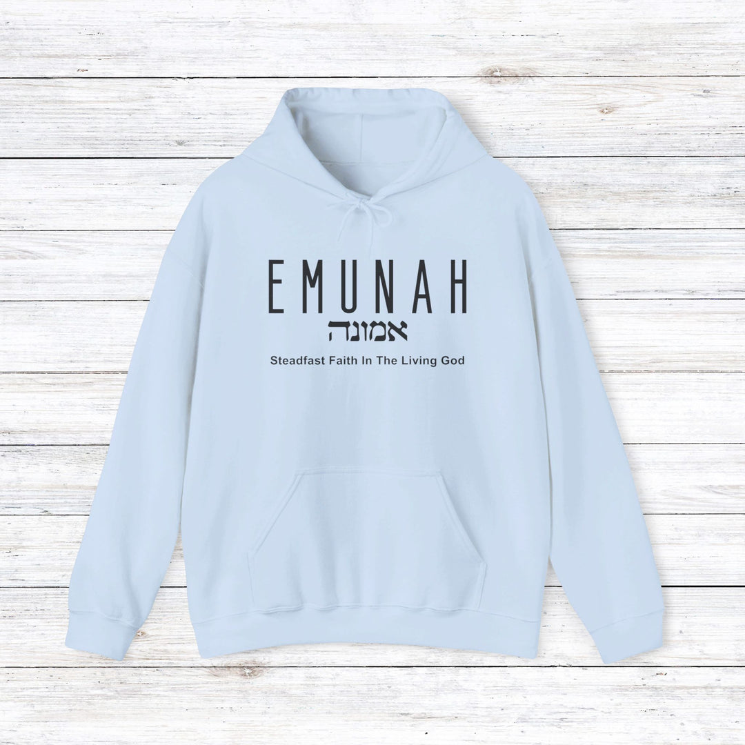 Emunah Steadfast Faith Hoodie Hoodie Light Blue S 