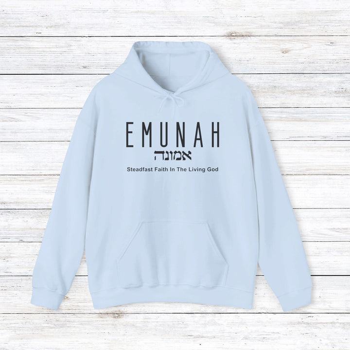 Emunah Steadfast Faith Hoodie Hoodie Light Blue S 