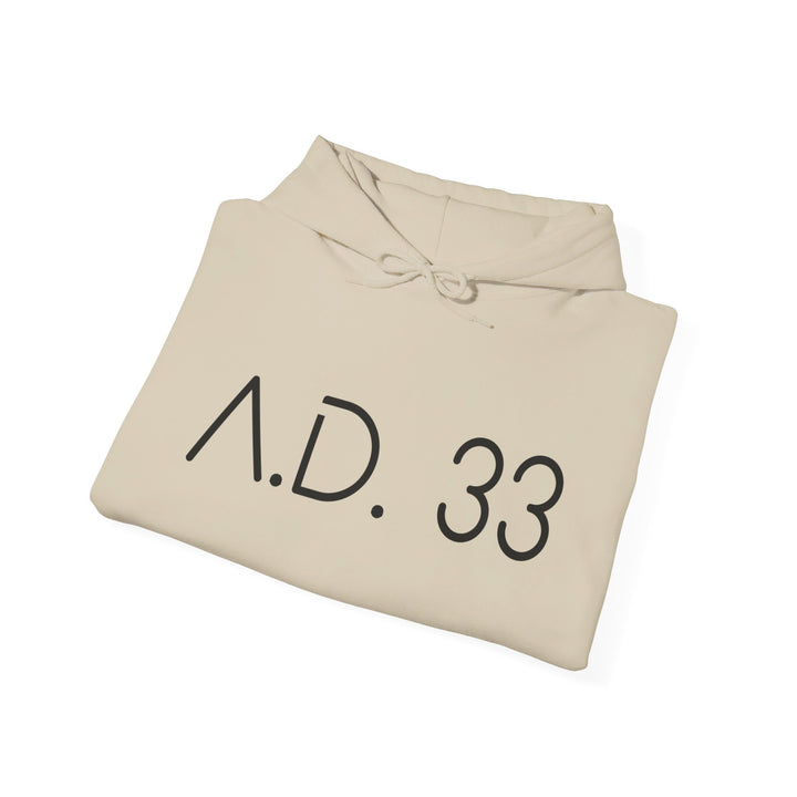 AD 33 Hoodie Hoodie   