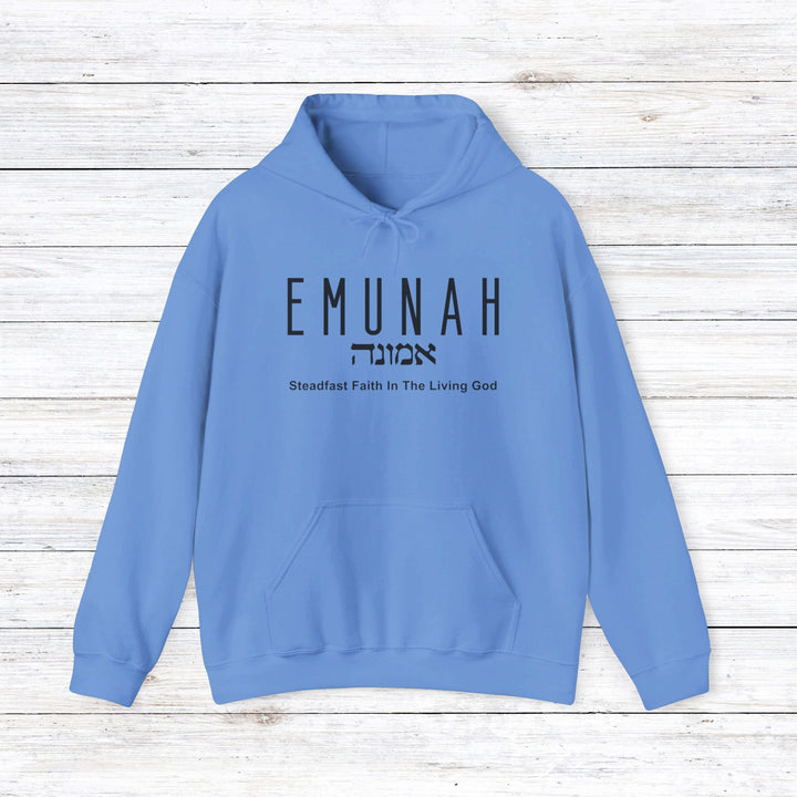 Emunah Steadfast Faith Hoodie Hoodie Carolina Blue S 