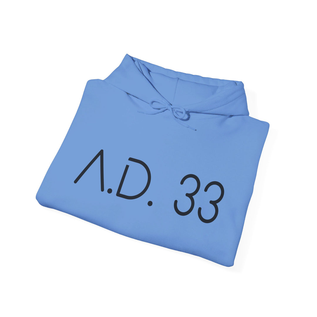 AD 33 Hoodie Hoodie   