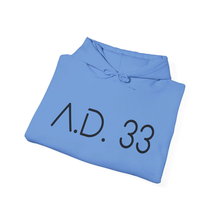 AD 33 Hoodie Hoodie   